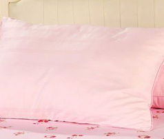 红富士DDK2大豆纤维枕 舒适睡眠的天然之选