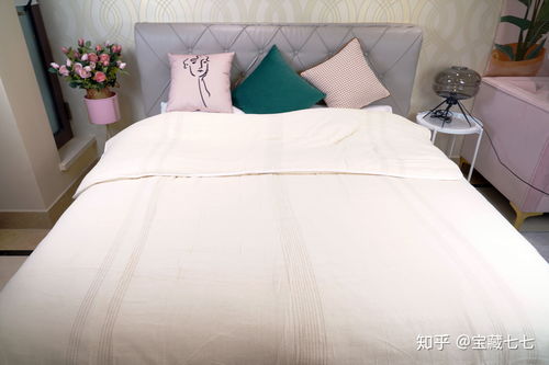 实测60款被子后选出这8款 2022.4.2更新 内附棉被 大豆纤维被 羊毛被 羽绒被