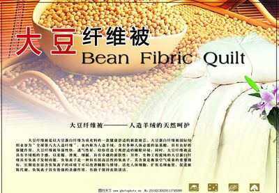 大豆纤维被 绿色环保纤维的魅力与实用性探析