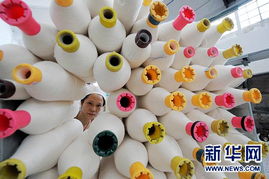 科技创新求发展 大豆纤维的绿色革命与未来之路